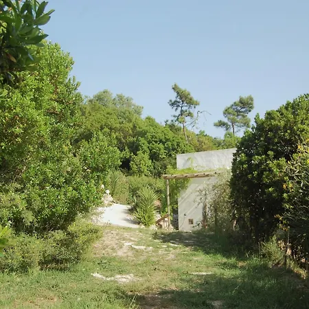 Villa In Alcobaca With Private Pool, Cleaning Included Alcobaca